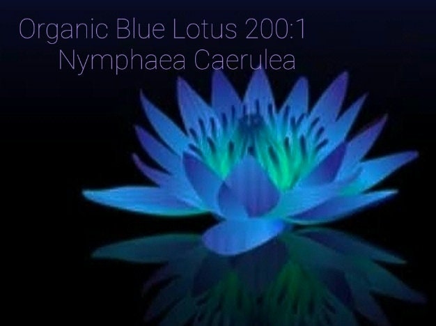 Blue Lotus Nymphea caerulea
Extract 100:1 powder 50 grams